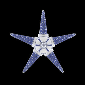 Arka Starfish Terra